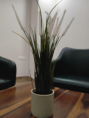 Pincode 90 Executive Suites,,3 star