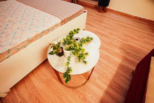 richas home at gaur mall