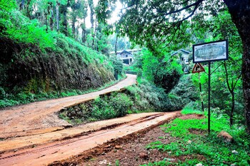 tanarya luxury homestay