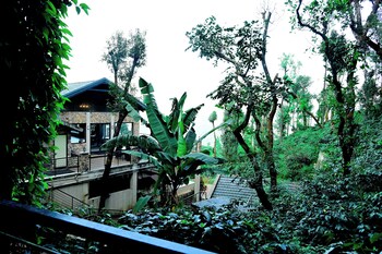 tanarya luxury homestay