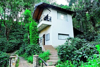 tanarya luxury homestay