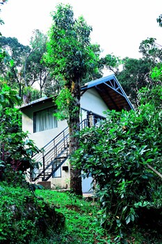 tanarya luxury homestay