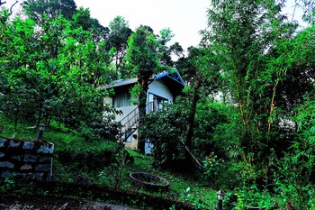 tanarya luxury homestay