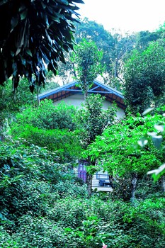 tanarya luxury homestay