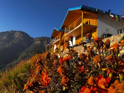 The Nirvana Stays,,4 star