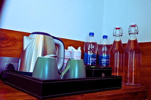 the grand sariska baagh