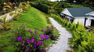 rainwood aurum resort