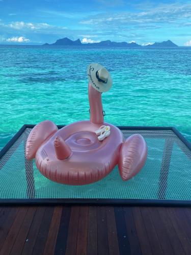 bubblefish water villa