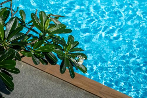 seaside naithon phuket