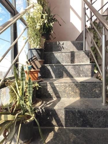 Prem Ratan Homestay,,3 star