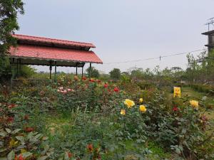 alipurduar