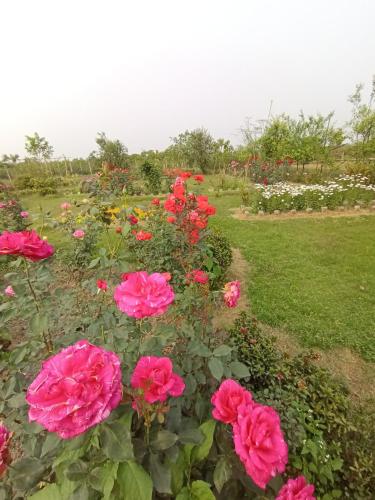 banolata lakeside homestay by stayapart