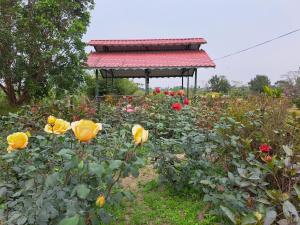 alipurduar