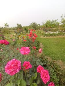 banolata lakeside homestay by stayapart