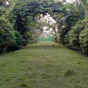 banolata lakeside homestay by stayapart