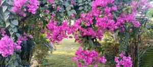 banolata lakeside homestay by stayapart