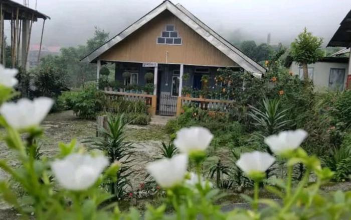 rongo hill view homestay by stayapart