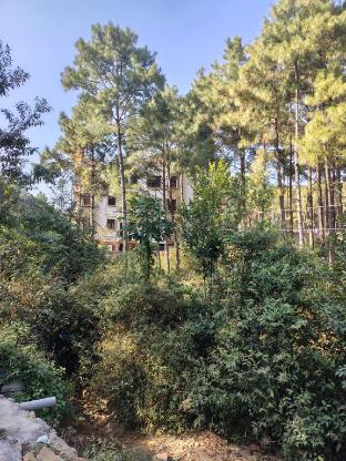 xtsy travellers hostel