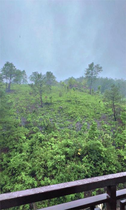 xtsy travellers hostel