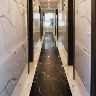 hotel sainison manali