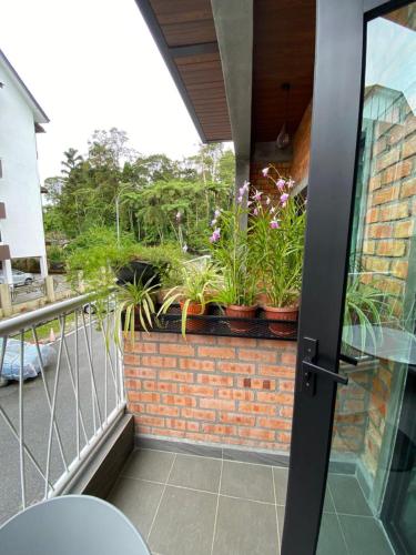 bricks guesthouse