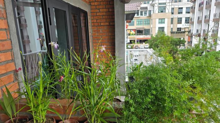 bricks guesthouse