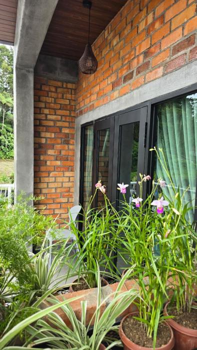 bricks guesthouse