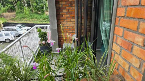 bricks guesthouse