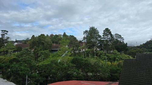 bricks guesthouse
