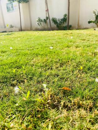 sunshine stay jaipur