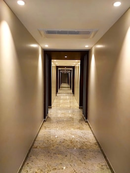 the paradise kingdom