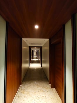 the paradise kingdom