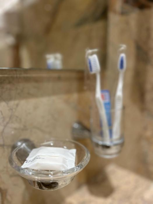 the paradise kingdom