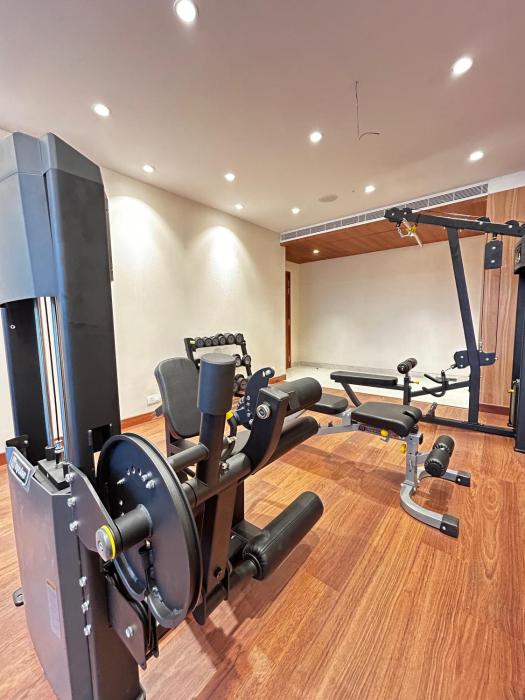 the paradise kingdom