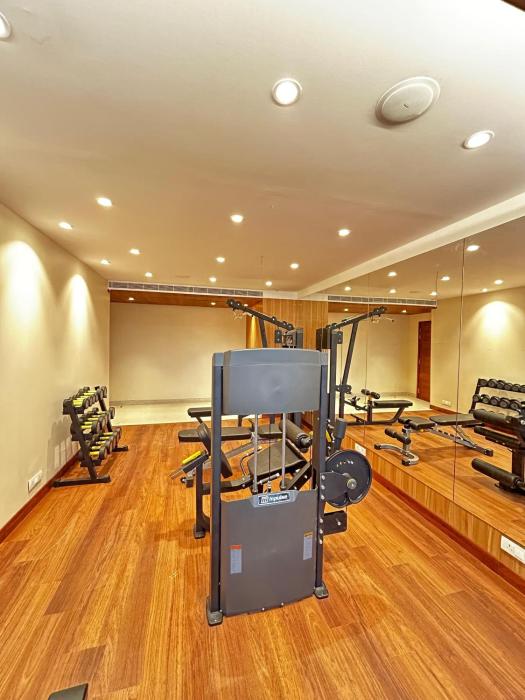 the paradise kingdom