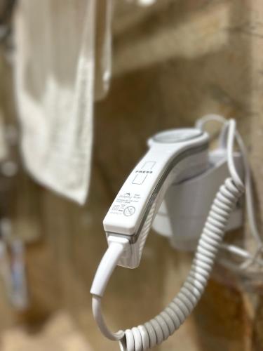 the paradise kingdom