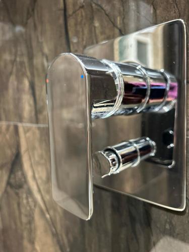 the paradise kingdom