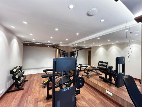 the paradise kingdom