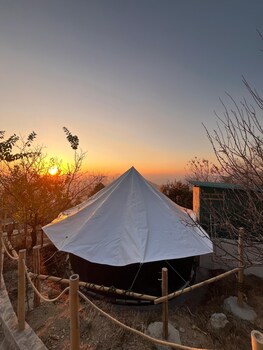 jijivisha resort shimla