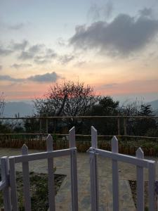 jijivisha resort shimla