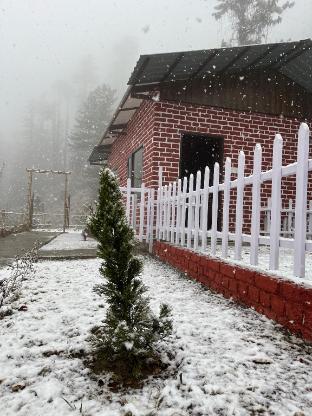 jijivisha resort shimla