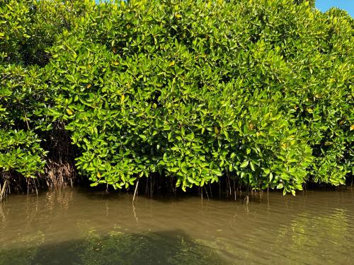 sri thirumal home stay