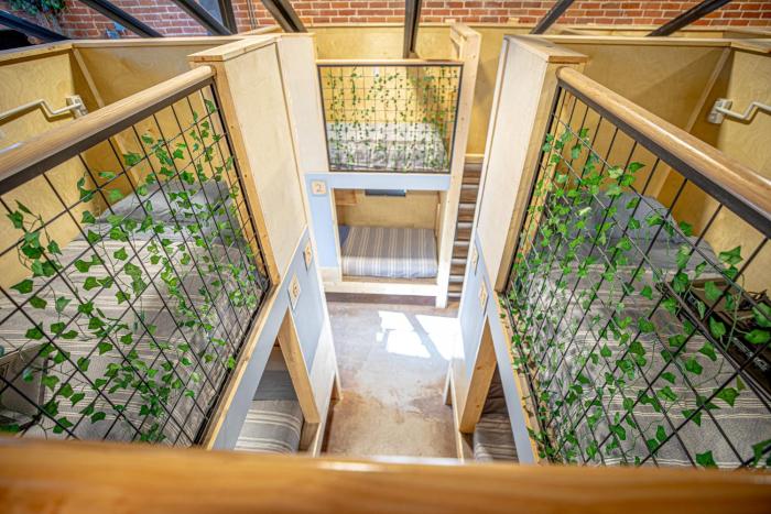 social stays first hostel on state street