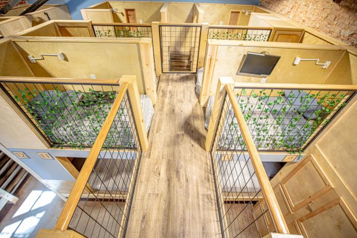 social stays first hostel on state street