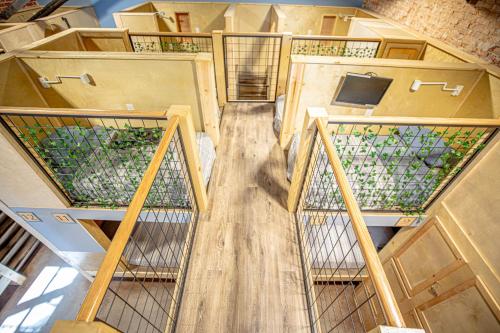 social stays first hostel on state street