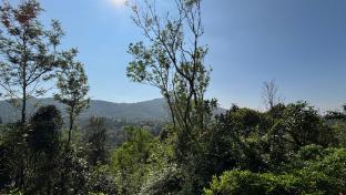 coorg hill view stay