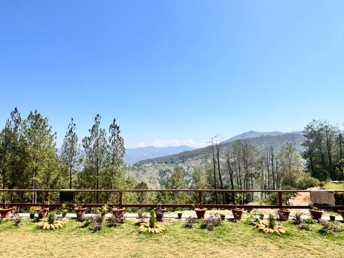 almora