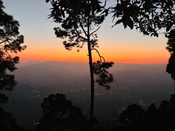 almora