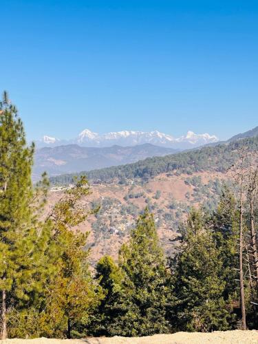 almora