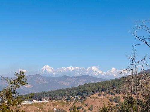 almora